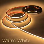 Warm White Neon