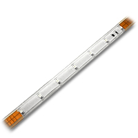 Ribbon Star Extreme, Amber Outdoor LED Strip Light - UL 24VDC