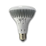 Par30 LED Bulb