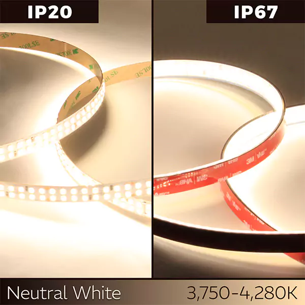 Ribbon Star MegaLux 12mm LED Strip Lights - 288 LEDs per Meter - UL 24VDC - IP20 & IP67 - Image 3
