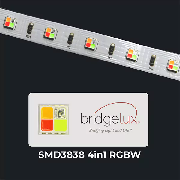 Ribbon Star 3838 Bridgelux RGBW LED Strip Light, CRI>95 - 16.4'/5m 24VDC - Image 2