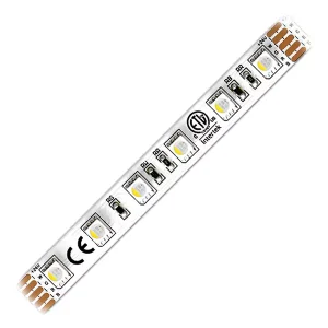 Ribbon Star 4 in 1 RGBW LED Strip Light - 60 LEDs per Meter - ETL 24VDC - IP20 & IP67