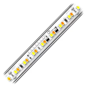 Ribbon Star Max Dim to Warm Waterproof LED Strip Light - UL 24VDC IP67