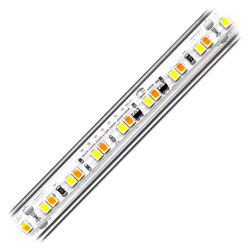 Ribbon Star Max Dim to Warm Waterproof LED Strip Light - UL 24VDC IP67