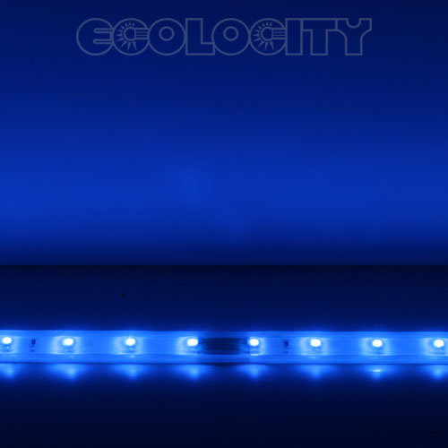 Extreme LED - Blue